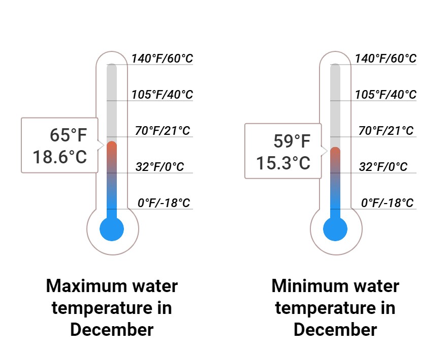 Average Sea temperature